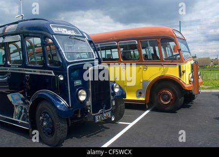 Historic coaches from the 1950's and 60's on display at the 90th anniversary open day at Epsom Coaches. Stock Photo