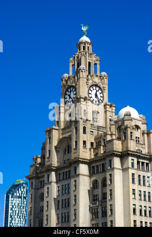 A Liver bird on top of a clock tower of the Royal Liver Building on the Pier Head in Liverpool. The building is one of Liverpool Stock Photo