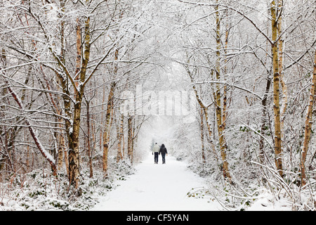 A couple walking hand in hand along a snow covered path through trees. Stock Photo