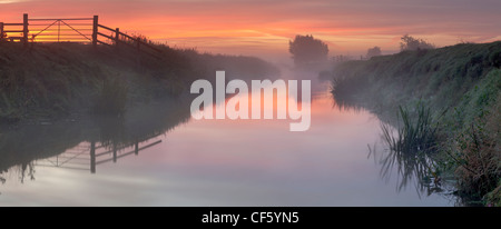 Misty sunrise over the River Brue on the Somerset levels. Stock Photo