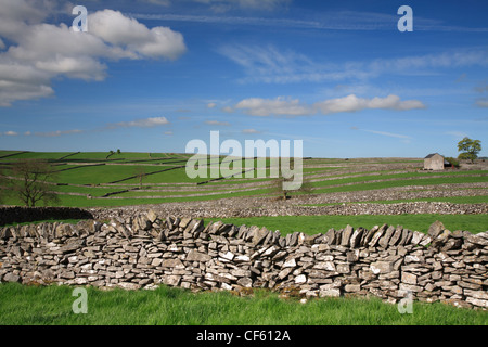 Field enclosures and barn at Litton in the Peak District National Park. Stock Photo