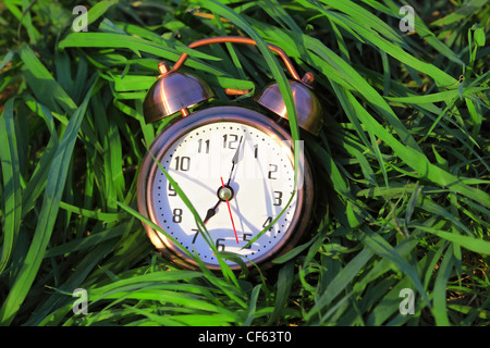 The beautiful classical alarm clock lies on a green grass. Arrows show seven hours. Stock Photo