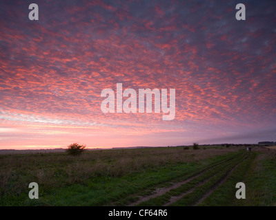 Sunset over the Ridgeway long distance path along the border of Berkshire and Oxfordshire near West Ilsley. Stock Photo