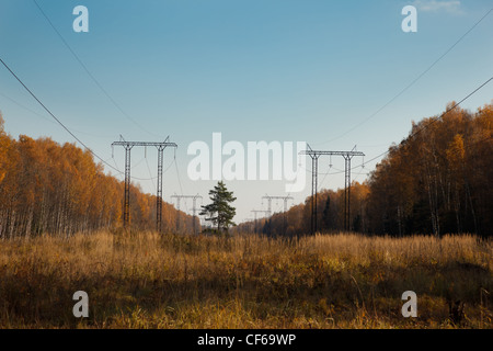 Electric line in autumn forest. Number of supports or cocktail. Electricity. Stock Photo