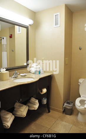 Hilton Paris bathroom, Las Vegas, USA Stock Photo - Alamy
