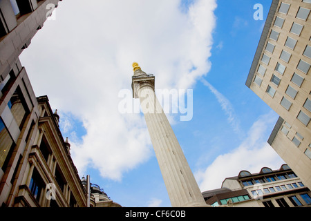 A view of the Monument to the Great Fire of London in the City of London. Stock Photo