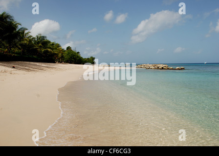 A beach in Barbados Stock Photo