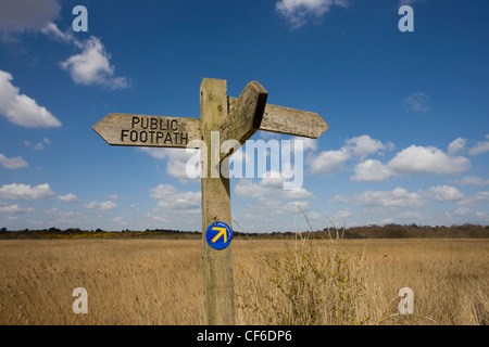 A public footpath sign amongst the reedbeds showing directions for the Suffolk Coast Path. Stock Photo