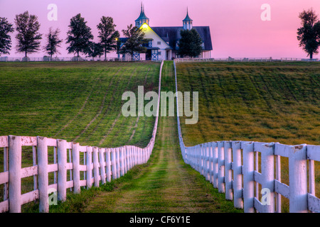 Sunset on a horse farm Stock Photo