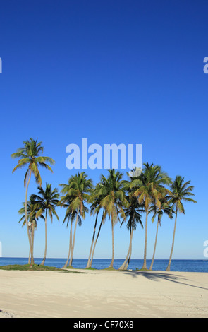 Cap Cana beach Stock Photo