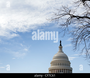 Dome of Capitol in Washington DC with winter branches and blue sky and clouds Stock Photo