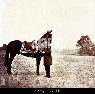 Ulysses S. Grant, standing alongside his war horse Stock Photo