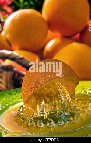 Orange juicer with freshly squeezed juice and basket of oranges in sunny alfresco garden terrace situation Stock Photo