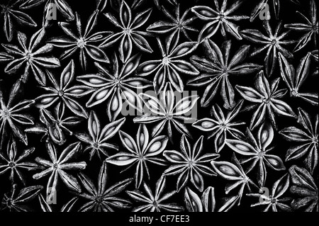 Illicium verum. Star anise spice pattern. Monochrome Stock Photo