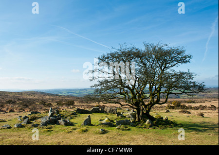 Wigford Down Hut Circle and Dartmoor Landscape Stock Photo