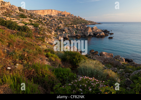 Panorama of the rugged boulder ranges and rearing headlands on the north coast of Gozo west from Dahlet Qorrot. Stock Photo