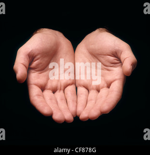 Two human hands in a gesture of offering Stock Photo