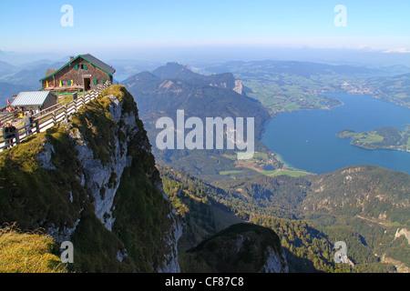 austria, view of mountain sheep, mondsee Stock Photo