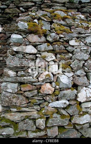 Snowdonia dry stone wall Stock Photo