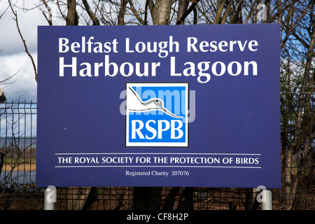 Belfast Lough Reserve RSPB harbour lagoon Northern Ireland UK Stock Photo