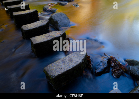 Stepping stones over the River Hebden at Hardcastle Crags, near Hebden Bridge, West Yorkshire. Stock Photo