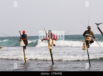 Traditional stilt fisherman, Kogalla, Sri Lanka Stock Photo - Alamy