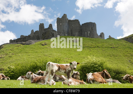 Carreg Cennen Castle sits on the Black Mountains in Carmarthenshire. Stock Photo