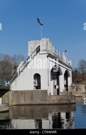 Teddington lock on River Thames with cormorant on flagpole. England UK Stock Photo