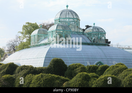 Belgium, Brussels, Laeken, the royal castle domain, the greenhouses of Laeken, the greenhouse of Congo. Stock Photo