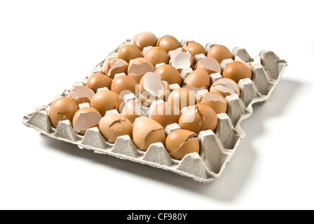 A tray containing thirty empty, broken brown chicken eggshells. Studio shot on white background. Stock Photo