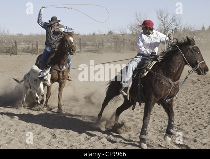 Team roping event in a small west Texas town. Stock Photo