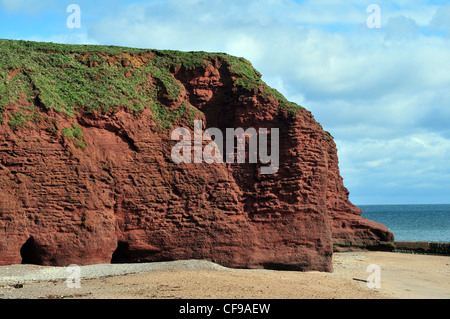 A cliff of Old Red Sandstone at Langstone Rock, Dawlish, South Devon - with caves eroded into the base. Stock Photo