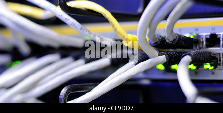 Grey metallic patch cords pluged to the switch. Stock Photo