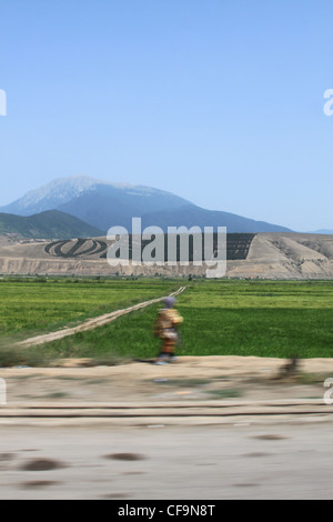 Patchwork quilt rice paddy fields on the flood planes of the Iranian ...