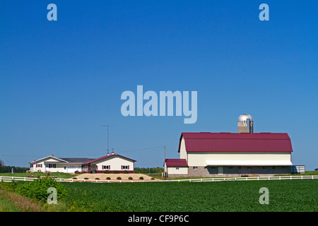 Farm and soybean crop north of Eau Claire, Wisconsin, USA. Stock Photo