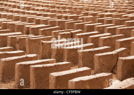 adobe bricks drying Stock Photo