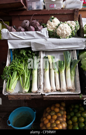 fresh vegetables celery leeks cauliflower beets beautifully displayed in natural light at mercado La Merced market Oaxaca Mexico Stock Photo