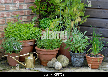 Herbs in pots in a garden corner UK Stock Photo
