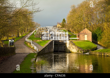 Leeds and Liverpool canal at Bingley five rise locks, West Yorkshire Stock Photo