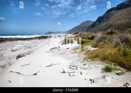 Scarborough Beach on Cape Peninsula in South Africa Stock Photo