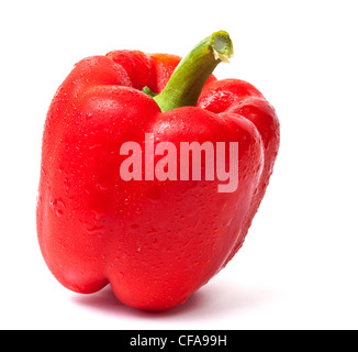 Single fresh red pepper with water drops isolated on white background Stock Photo