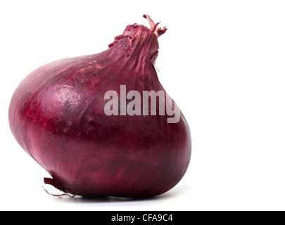 Single red onion bulb isolated on white background with shadow Stock Photo