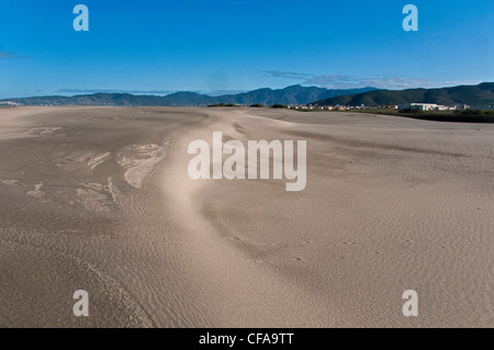 sand, dunes, playa Hermosa, beach, ensenada, baja California, Mexico ...