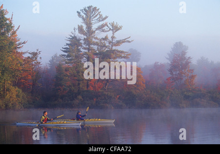 Young couple sea kayaking on Gull Island, Muskoka, Ontario, Canada. Stock Photo