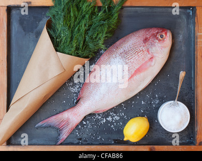 Red snapper, lemon, greens and salt Stock Photo