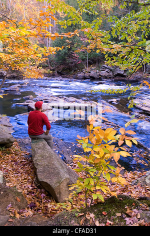 Canada, Ontario, Algonquin Provincial Park, a young man sits on a rock to admire the fall colours along he Oxtongue River. Stock Photo
