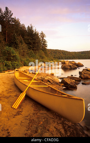 A canoe with paddle at sunrise, during summer, on the shore of Booth Lake, Algonquin Provincial Park, Ontario, Canada. Stock Photo