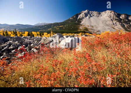 Autumn at Frank Slide in Crowsnest Pass, Alberta, Canada Stock Photo
