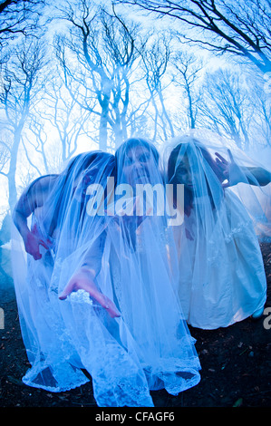 Three young women dressed as brides taking part in a Zombie bride 'trash the wedding dress' Stock Photo