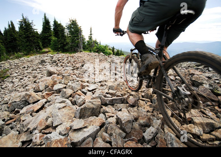 Man bikes the Seven Summits trail, Rossland, British Columbia, Canada. Stock Photo
